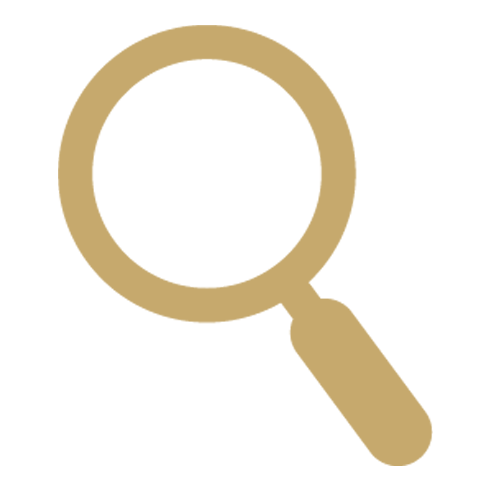 Assess icon